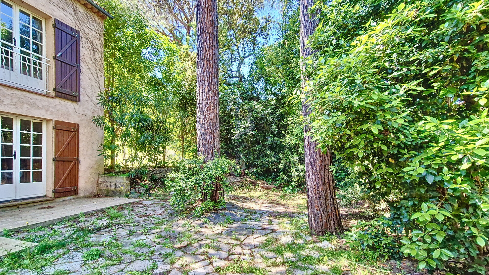 Photo VILLA PROVENÇALE SAINT-BRIGITTE image 3/6