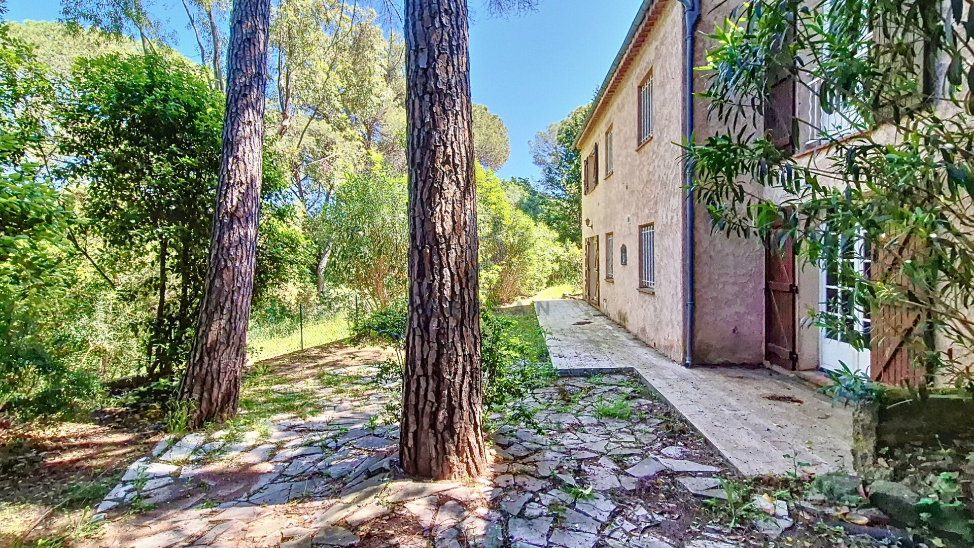 Photo VILLA PROVENÇALE SAINT-BRIGITTE image 6/6