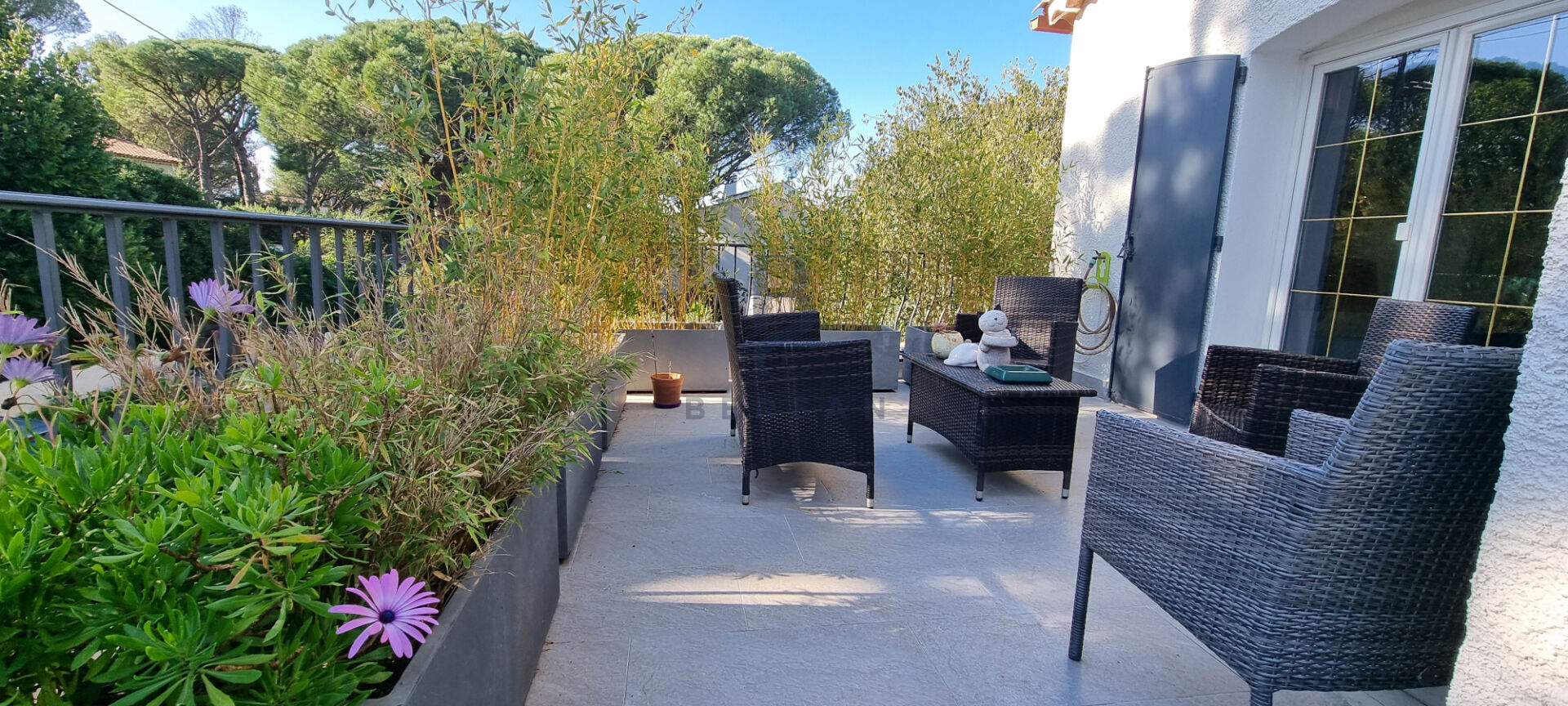Photo VILLA PUGET SUR ARGENS image 5/6
