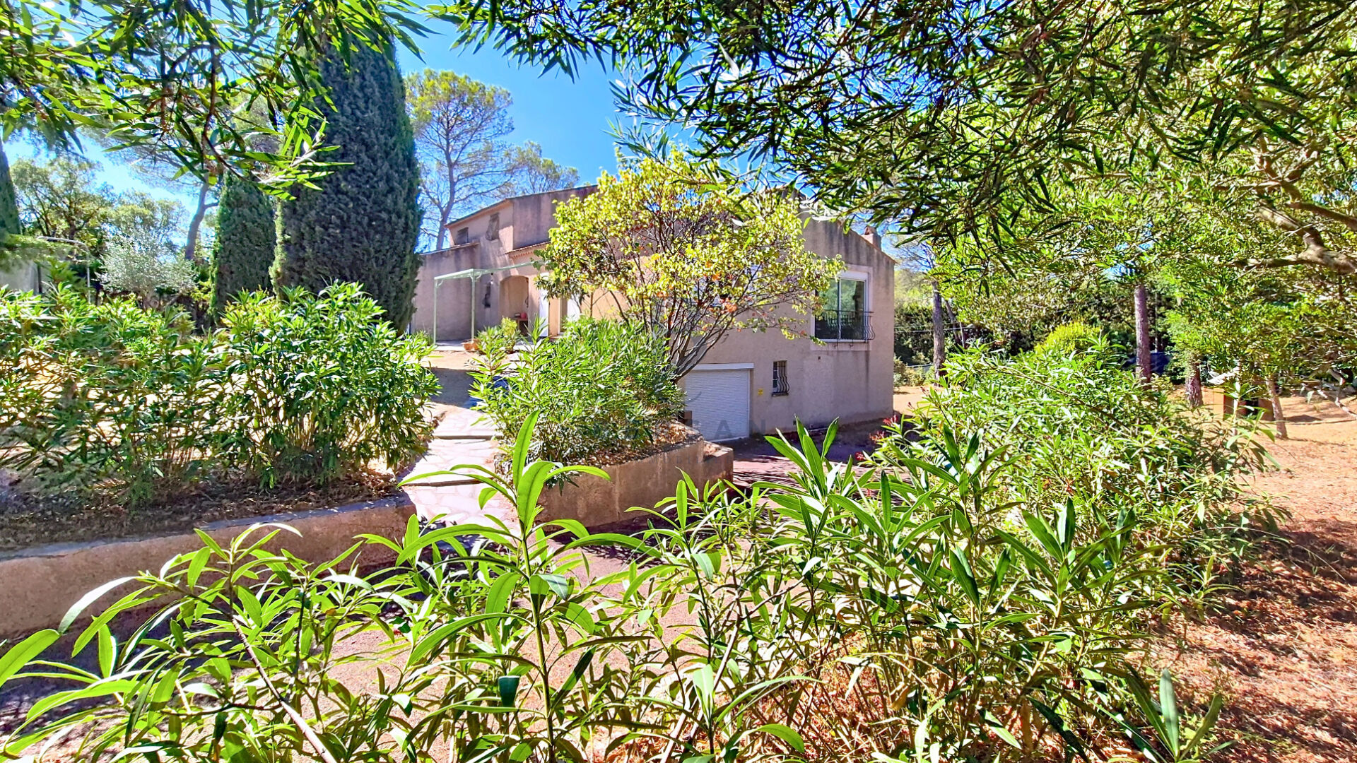 Photo VILLA SAINT-RAPHAEL VALESCURE image 5/6
