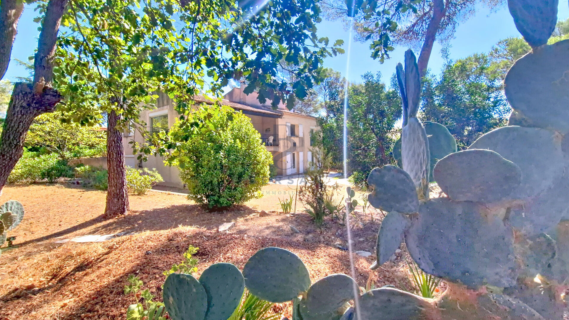 Photo VILLA SAINT-RAPHAEL VALESCURE image 6/6