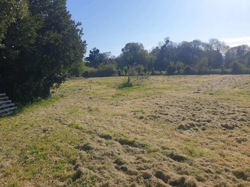 Agence immobilière de BIEN IMMO St Sulpice de Royan - BIEN IMMO