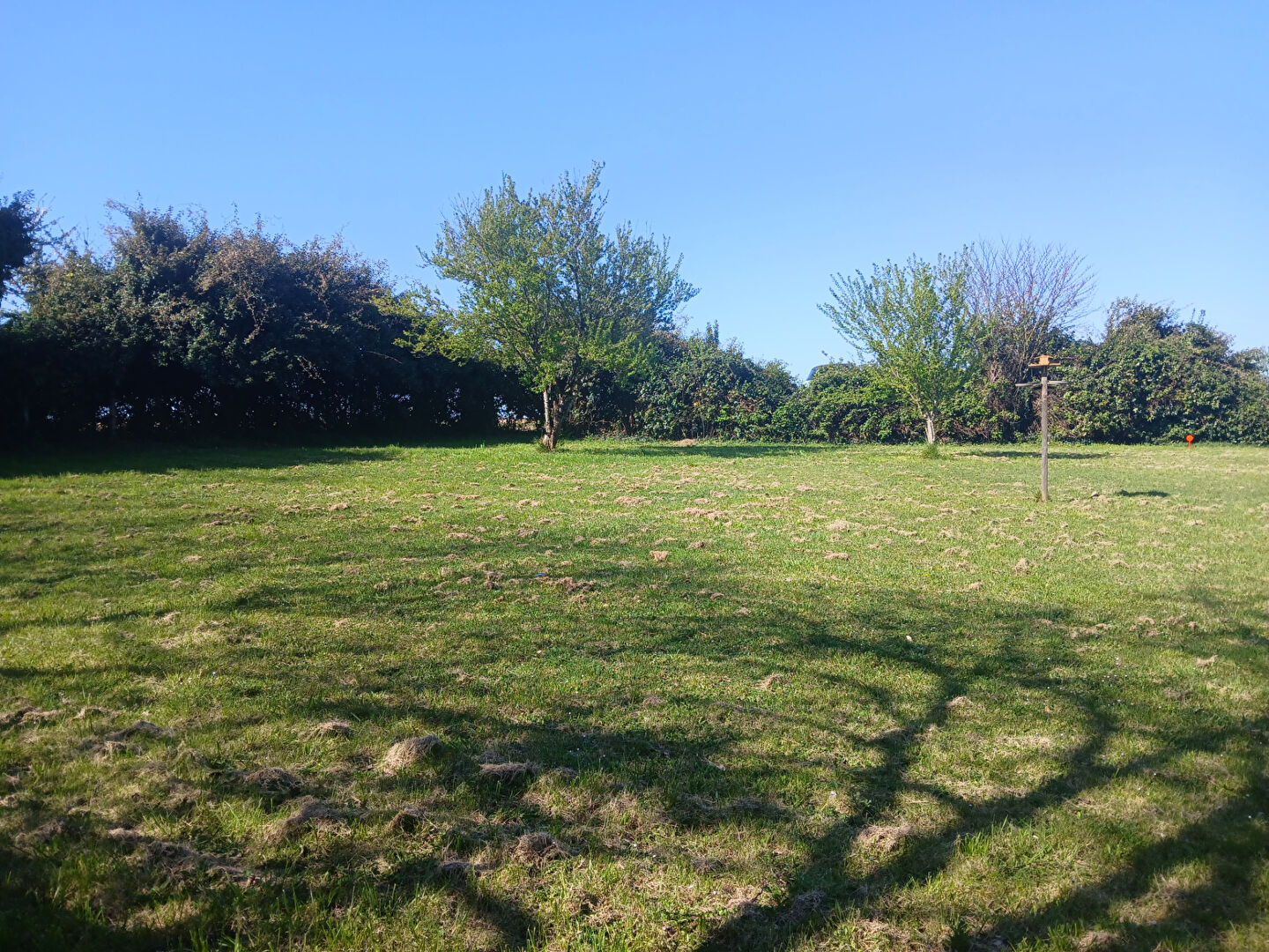 Agence immobilière de BIEN IMMO St Sulpice de Royan - BIEN IMMO