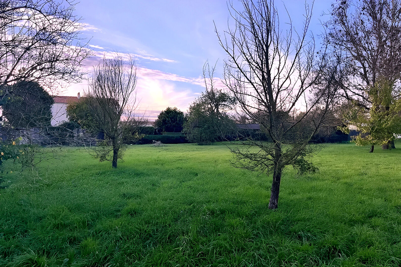 Photo TERRAIN CONSTRUCTIBLE 882 M2 - SAINTE SOULLE image 2/4