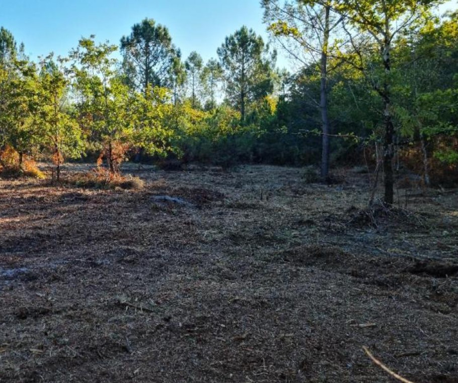 Photo Terrain Brach 452 m2 image 2/3