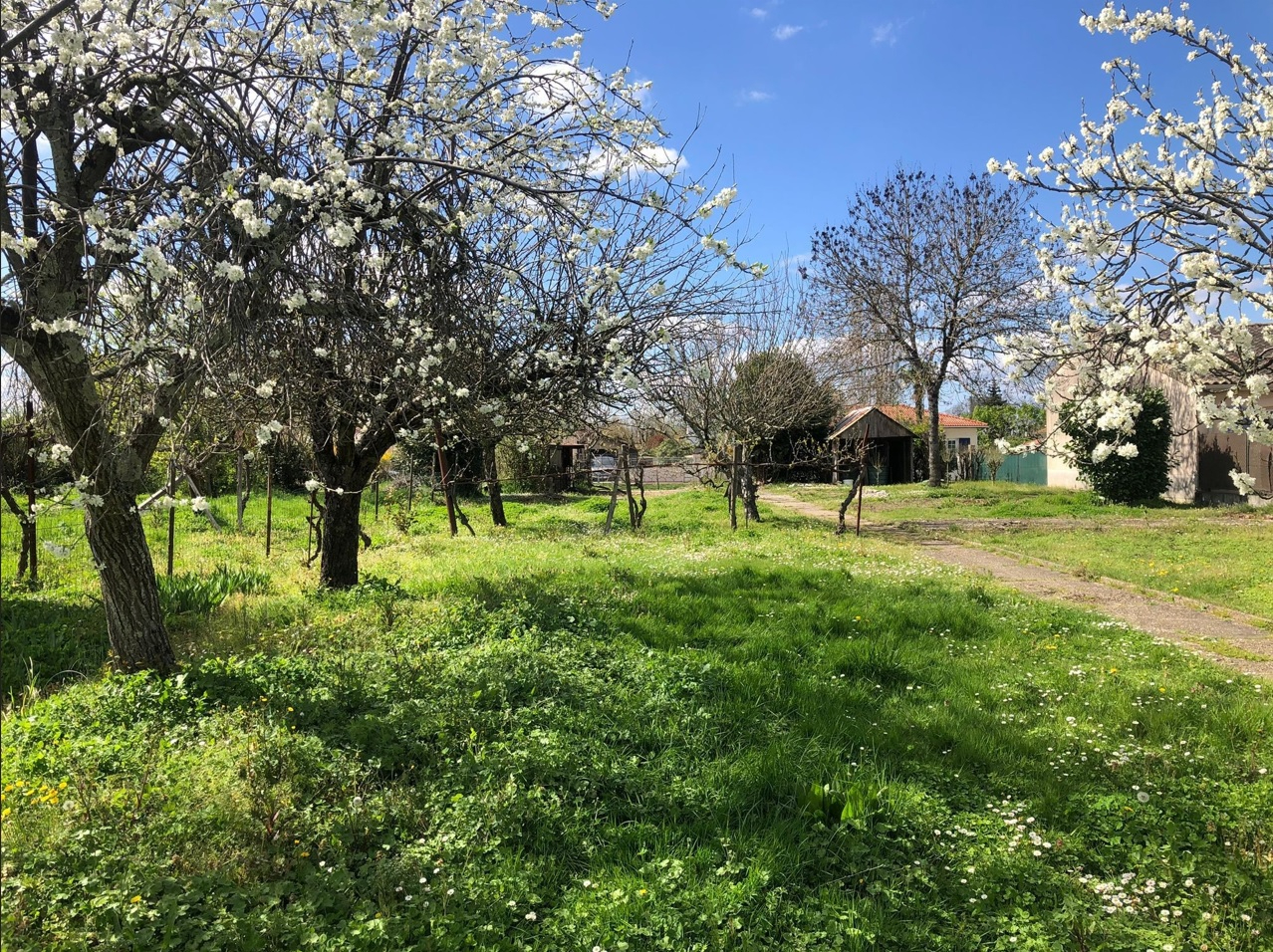 Terrain Lormont 840 m2