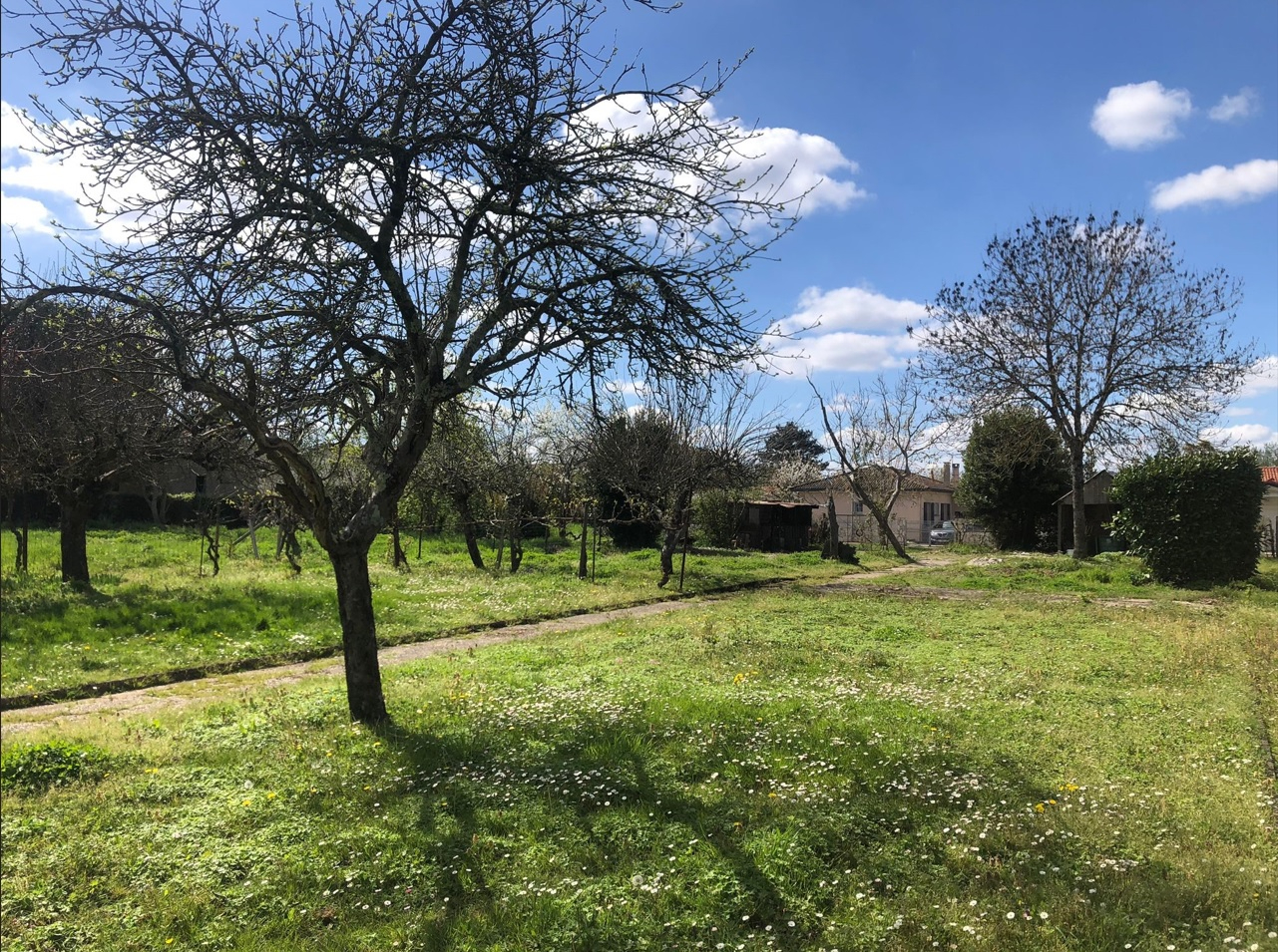 Photo Terrain Lormont 840 m2 image 2/3