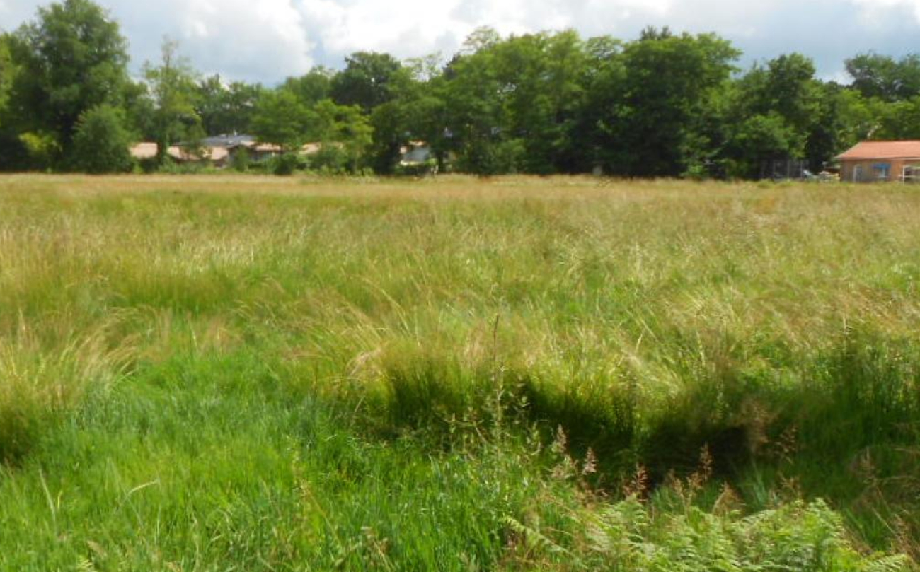 Terrain Saint Germain Du Puch 530 m2