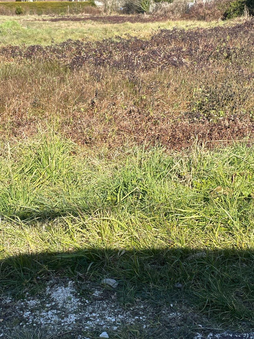 Terrain Martillac 431 m2