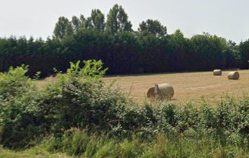 Photo Terrain St Christoly De Blaye 670 m2 image 2/2