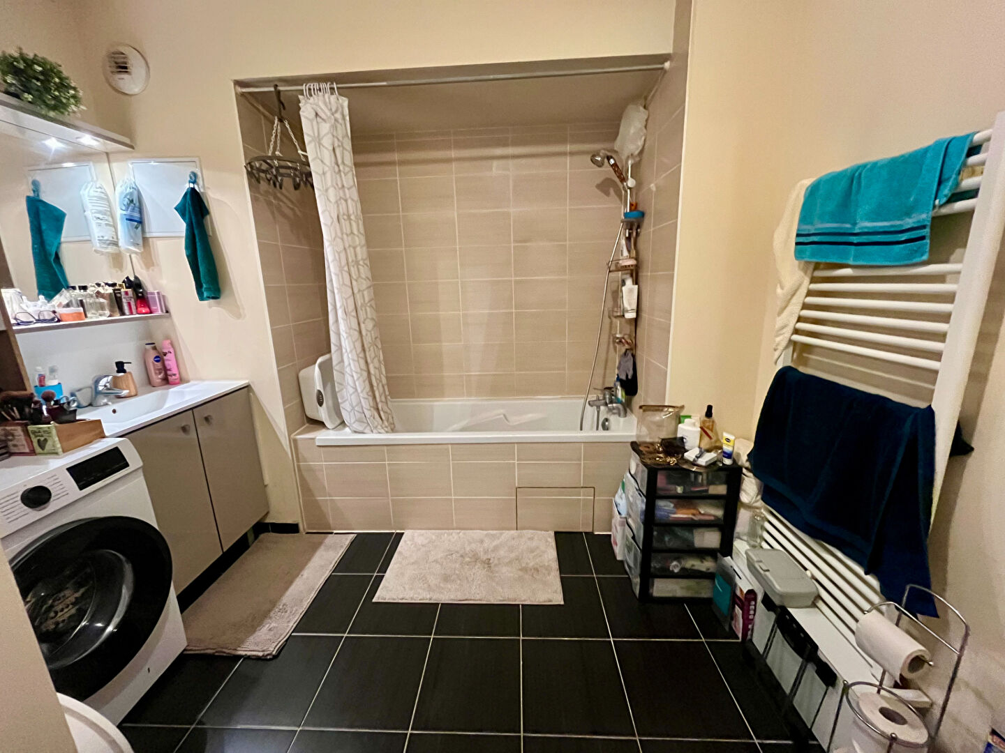 Photo AQUITAINE IMMOBILIER STRATEGIES - EXCLUSIVITE - CENON - T2 46.50 M² -TERRASSE 25 M² image 6/6