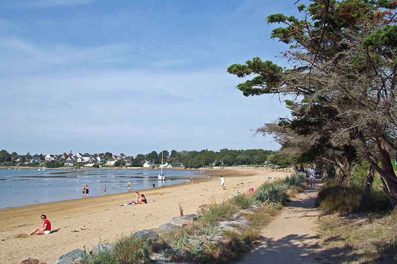 Agence immobilière de BRETAGNE MER HABITAT - BRETAGNE MER HABITAT