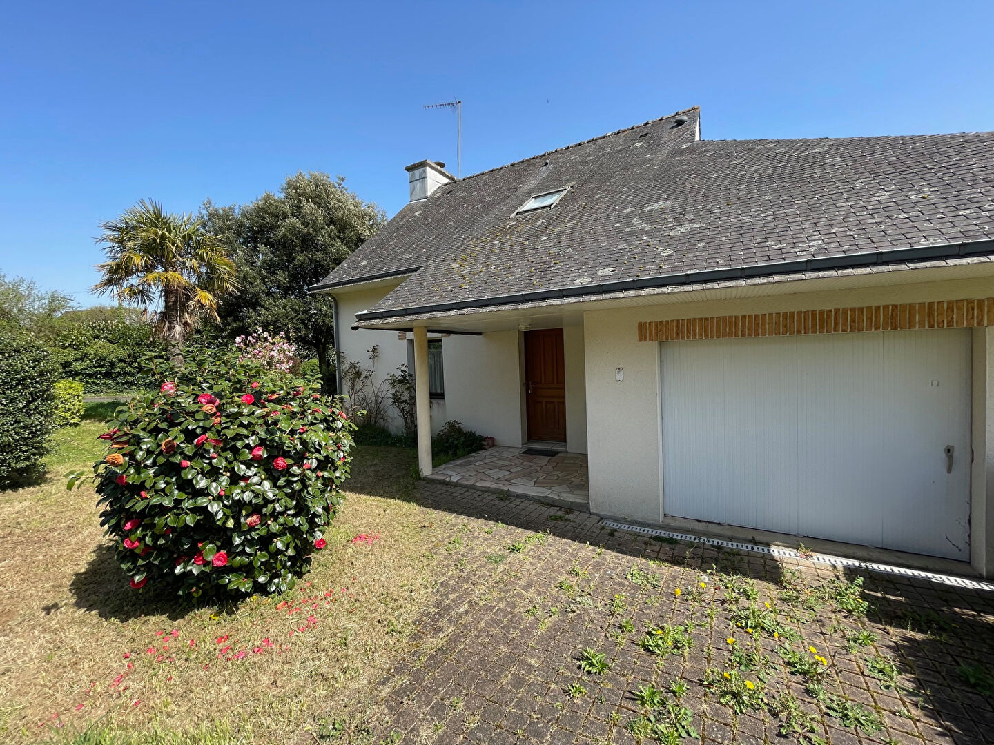 Agence immobilière de BRETAGNE MER HABITAT - BRETAGNE MER HABITAT