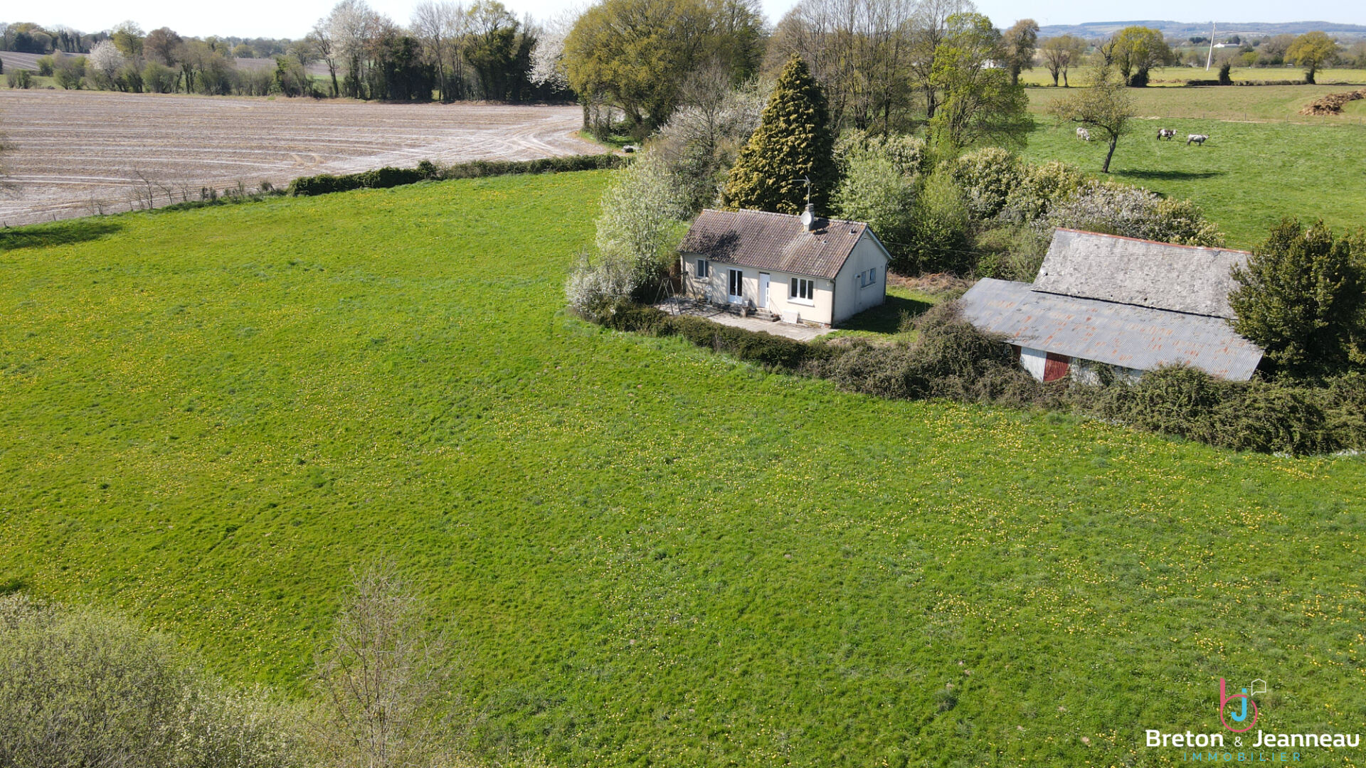 Maison de plain-pied sur près d'un hectare secteur Bais