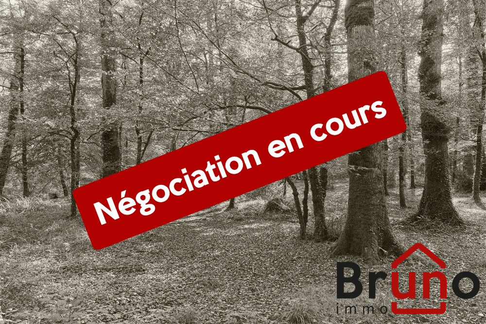 Photo BAIE DE SOMME image 1/1