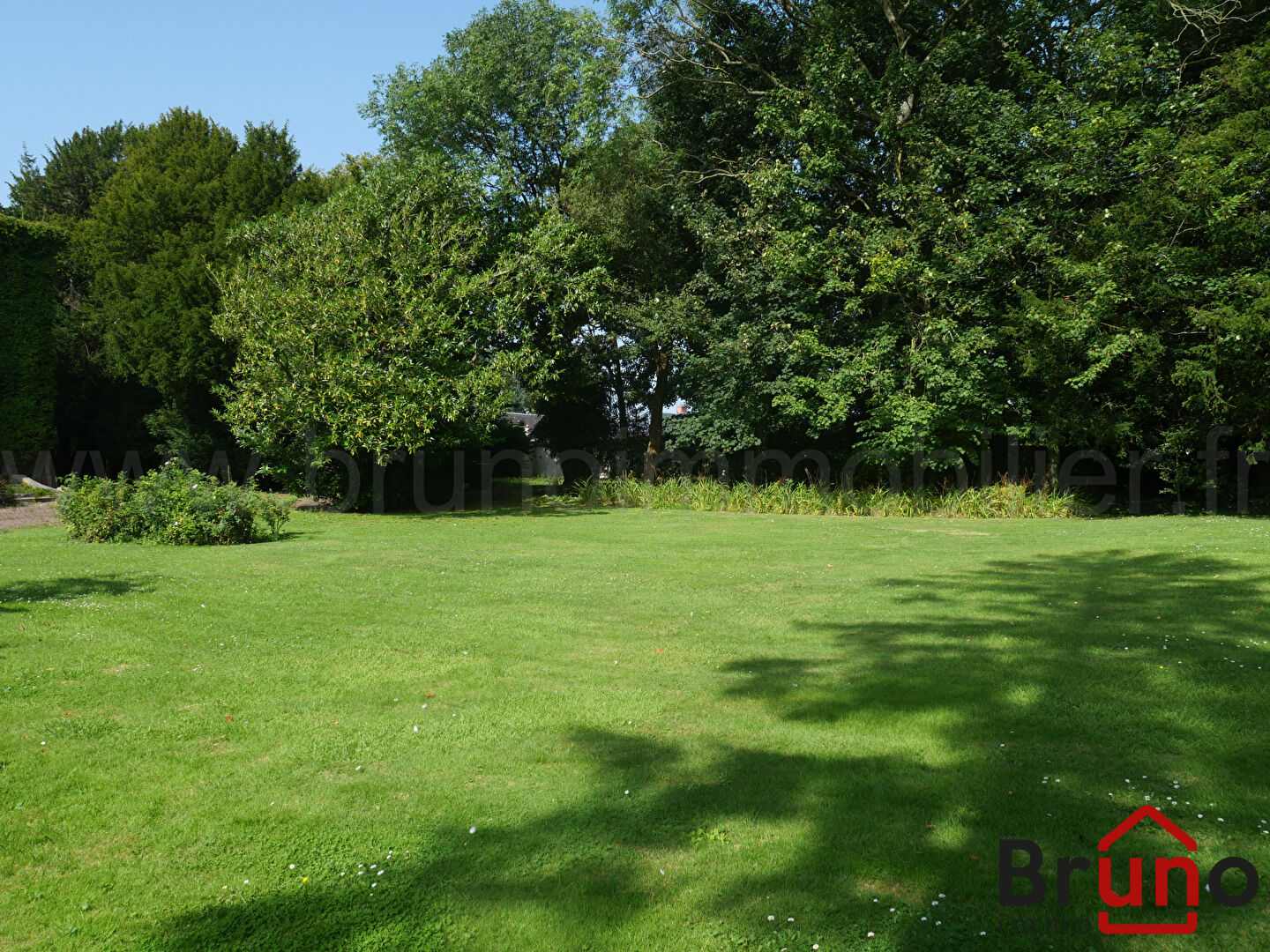 Photo TULLY image 4/6