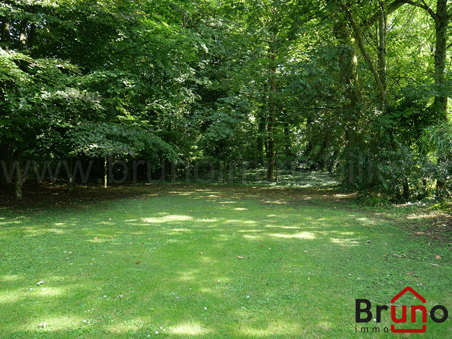 Photo TULLY image 5/6