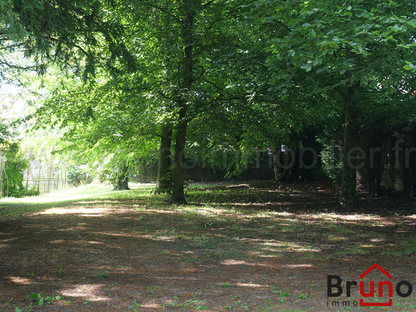 Photo TULLY image 6/6