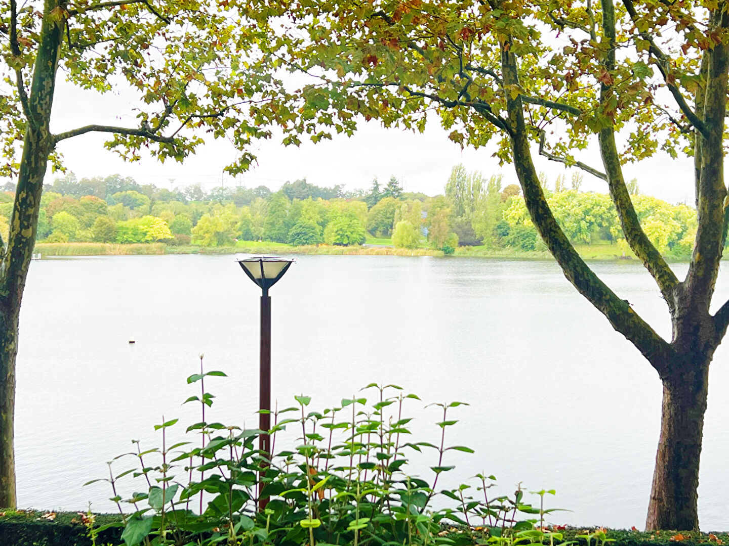 Agence immobilière de BSI EST PARISIEN