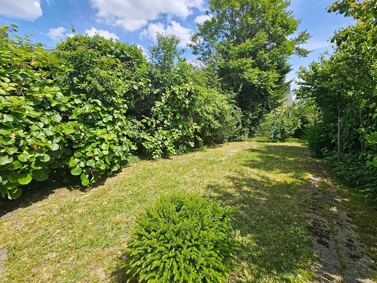 Photo Belle maison 6 pièces + Jardin & sous-sol  *** PROCHE HOTEL DE VILLE  *** image 3/6