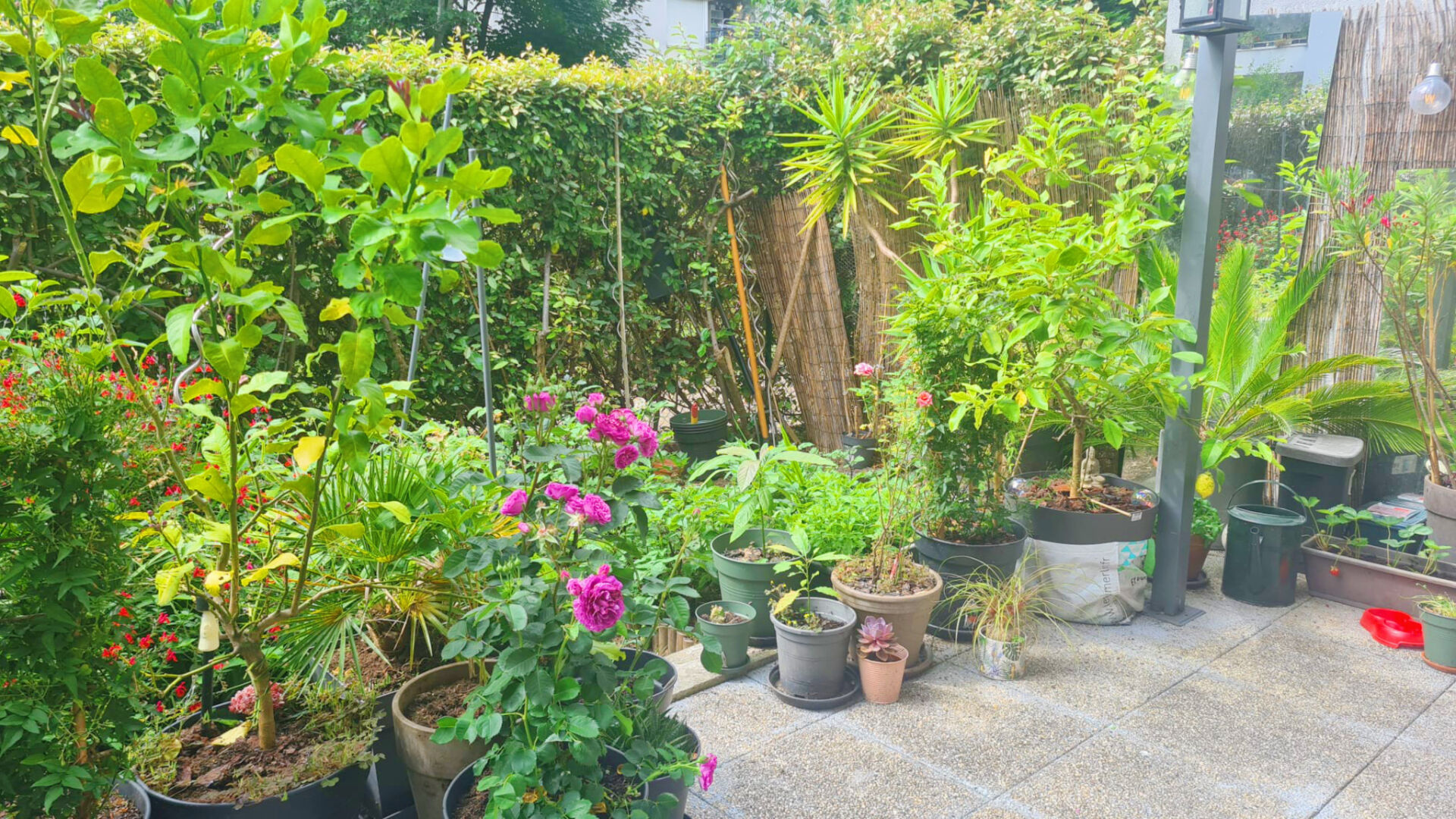 Photo T3 lumineux avec jardin, box fermé ? Résidence récente image 2/6