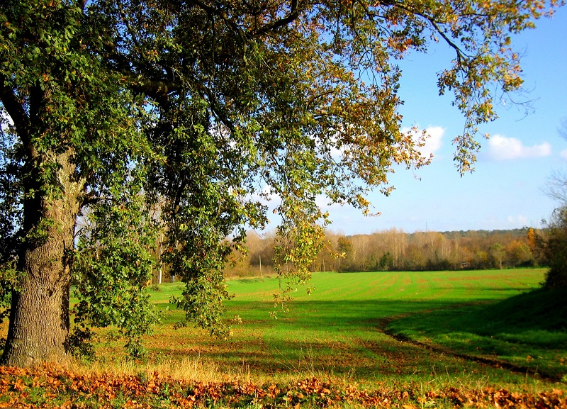 Fonds de commerce - Boulangerie