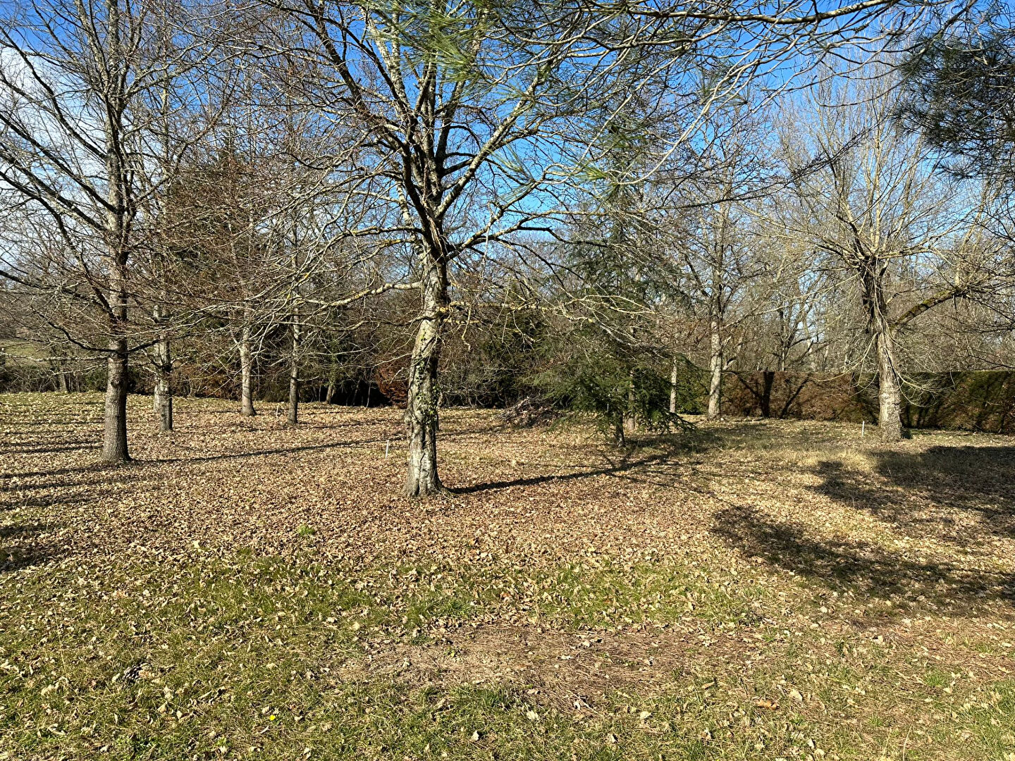 Photo MAISON - MONTBETON image 6/6