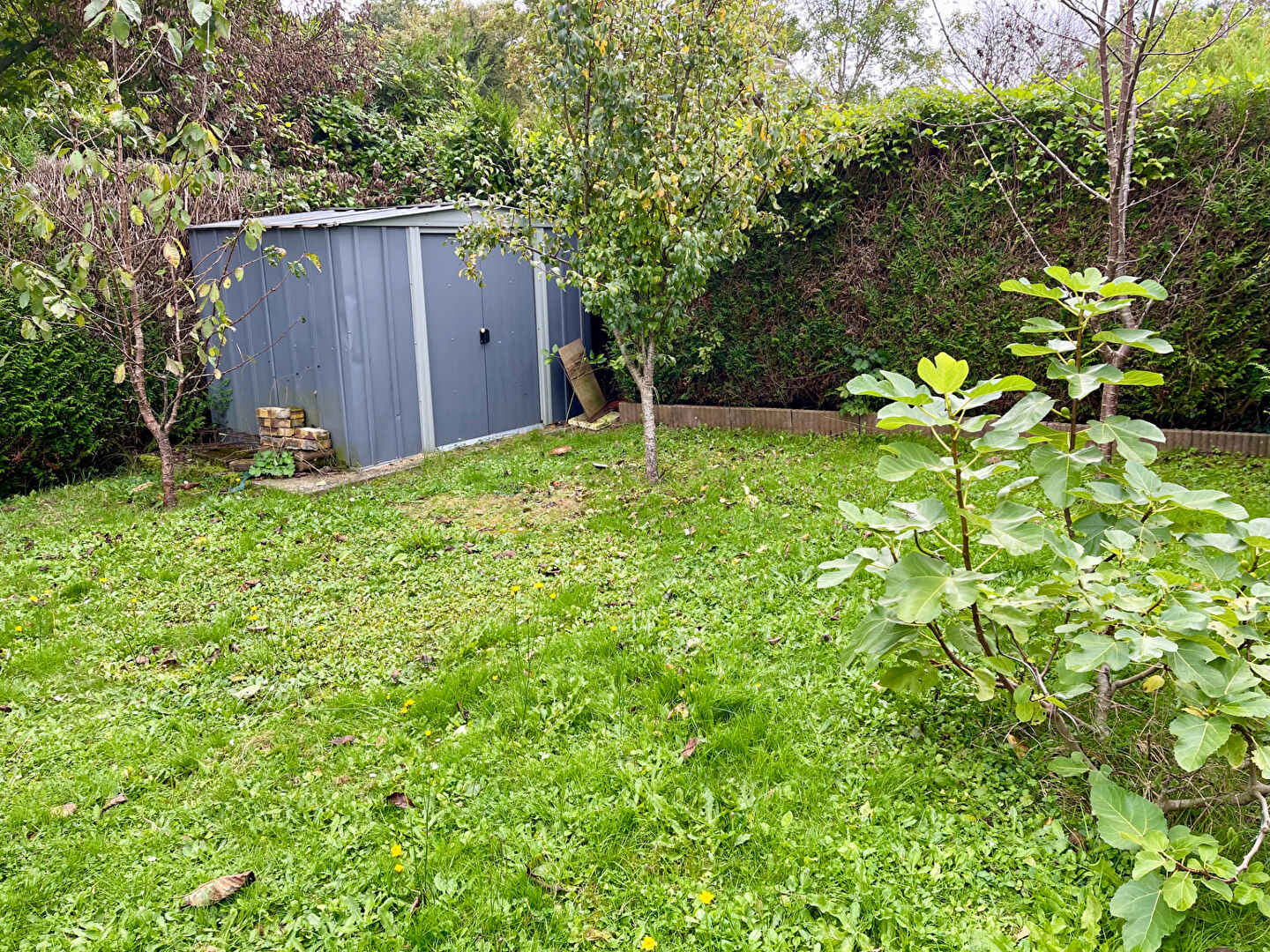 Photo Chalet au calme - 3 pièces image 2/6