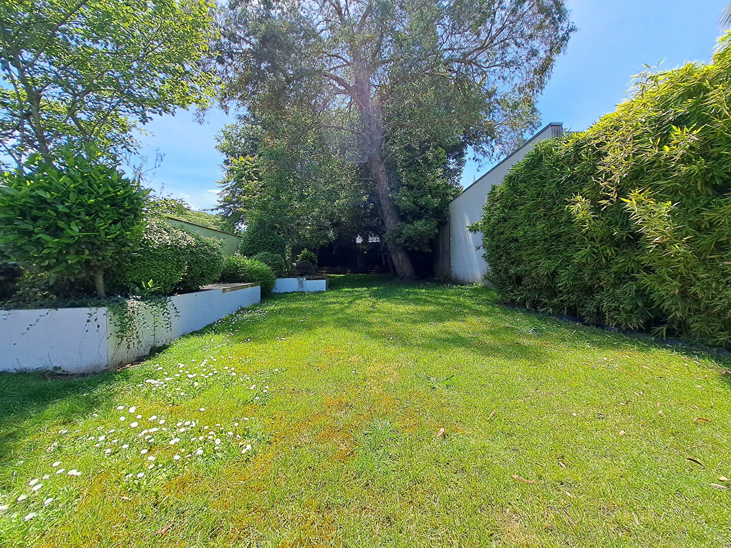 Photo Maison Le Bouscat 6 pièces 173 m2 image 3/6