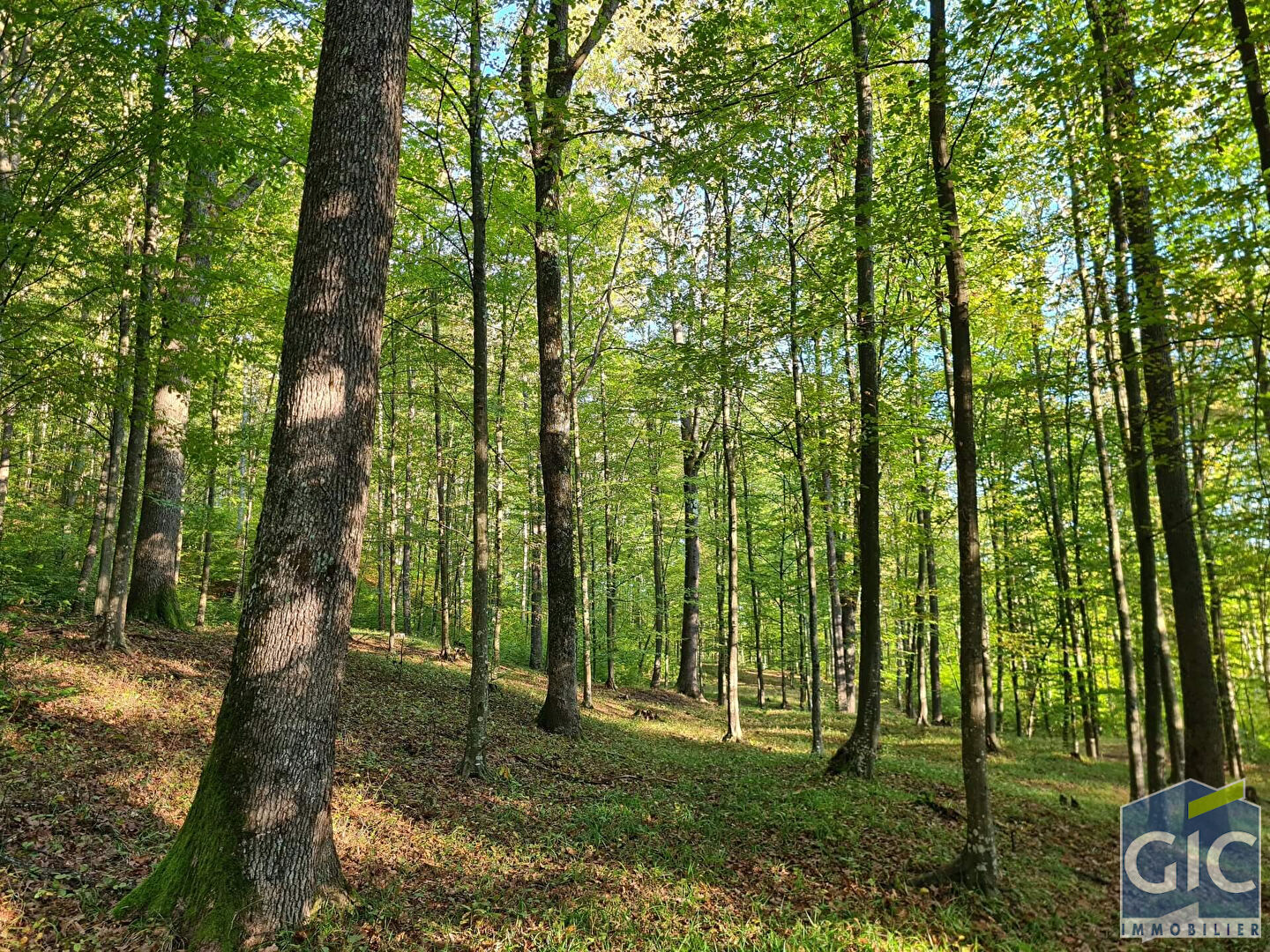 Terrain Saint Girons 1180000 m2