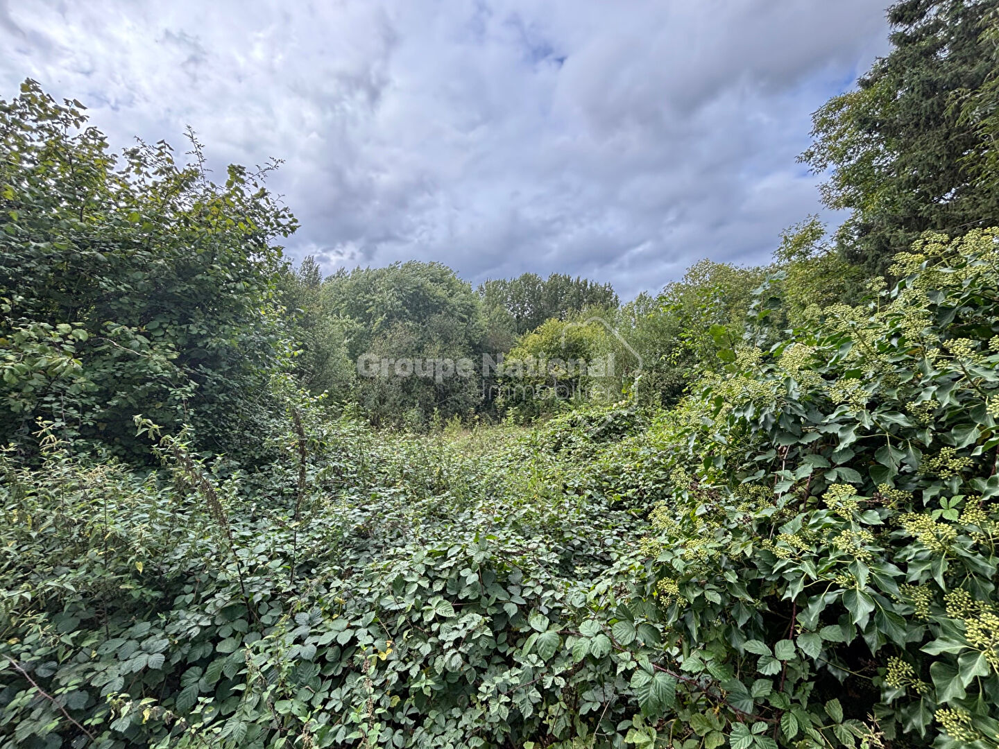 Aux portes de Pierrefonds