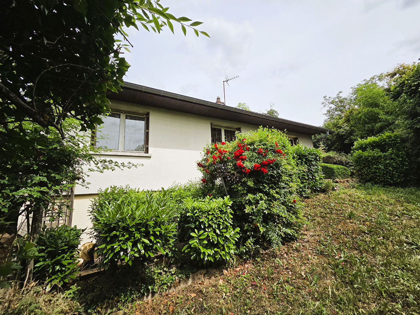 Agence immobilière de CADR'IMMO 21 Dijon - Agence CADR'IMMO