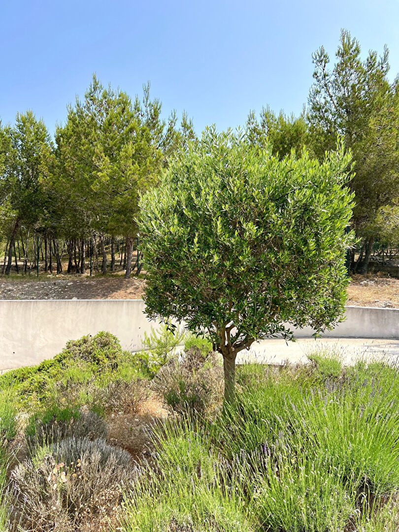 Photo Vente Appartement image 6/6