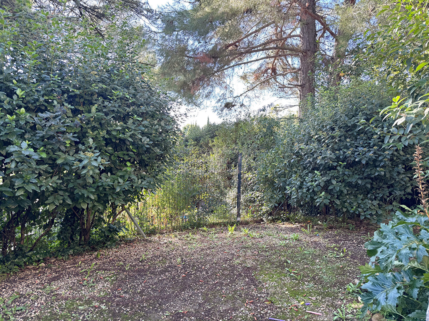 Photo Appartement Villeneuve Les Avignon 4 pièce(s) 72 m2 avec terrasse. image 6/6