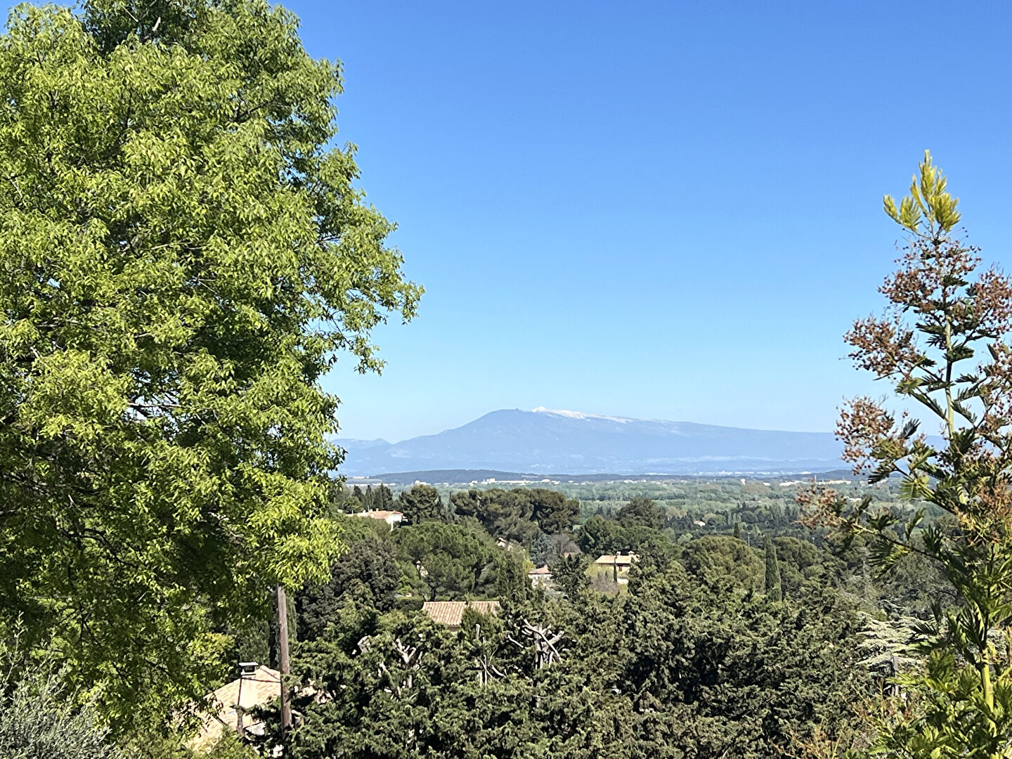 Agence immobilière de SARL CARDINAL - VILLENEUVE LES AVIGNON