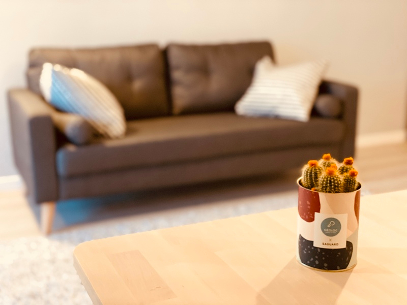 Photo COLOCATION MEUBLEE image 6/6