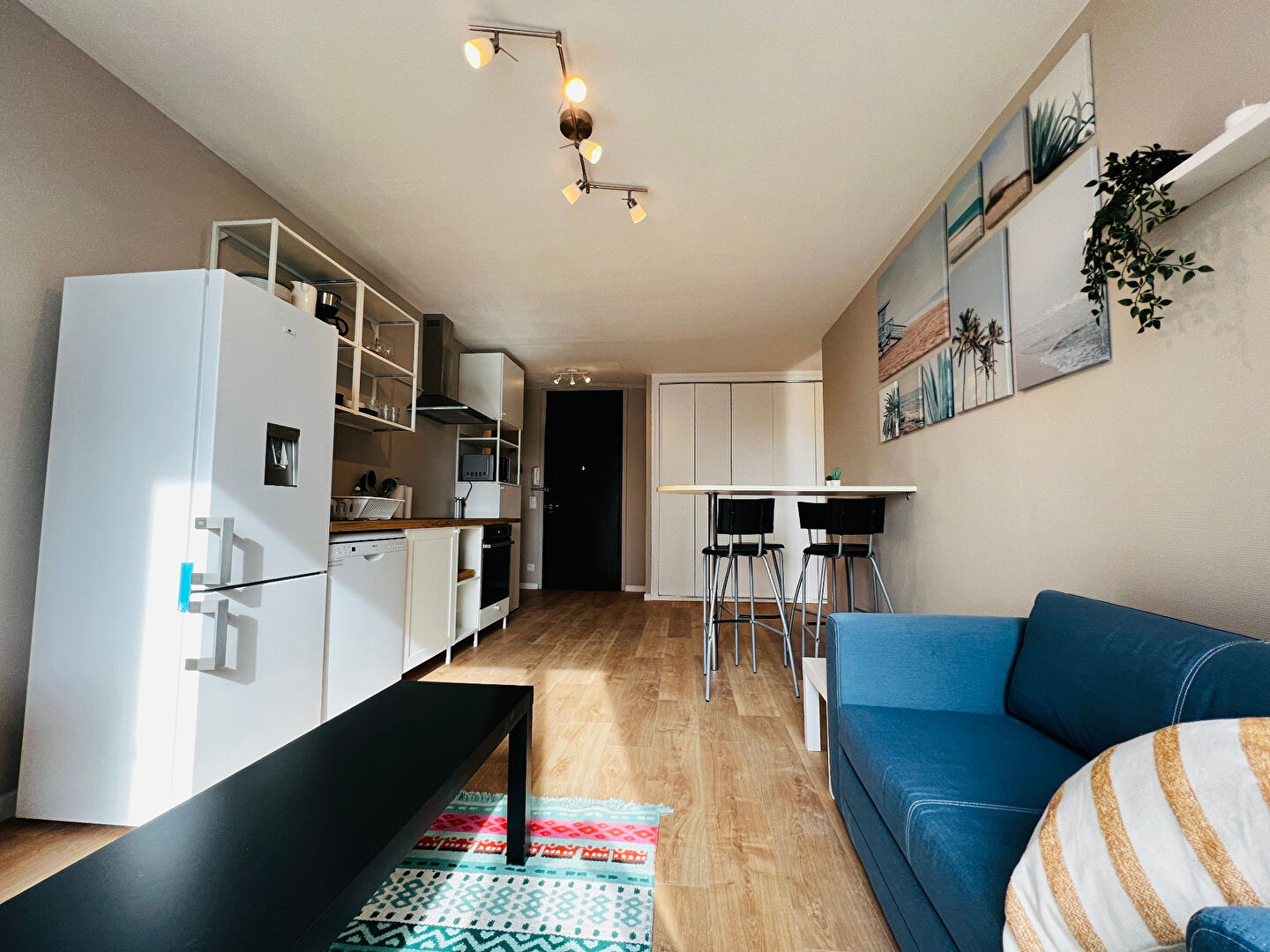 Photo COLOCATION LYON 8 image 2/6