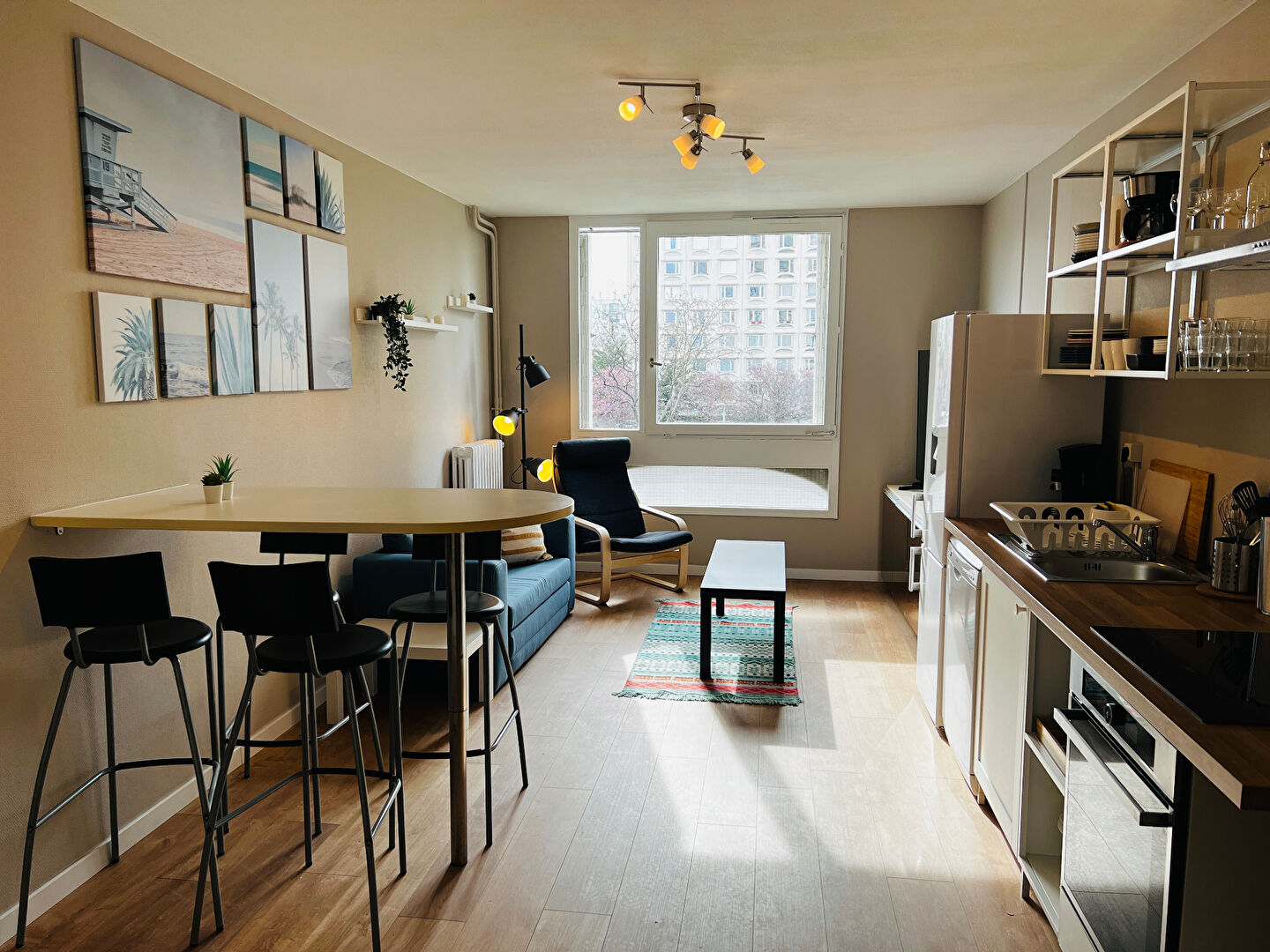 Photo COLOCATION LYON 8 image 6/6