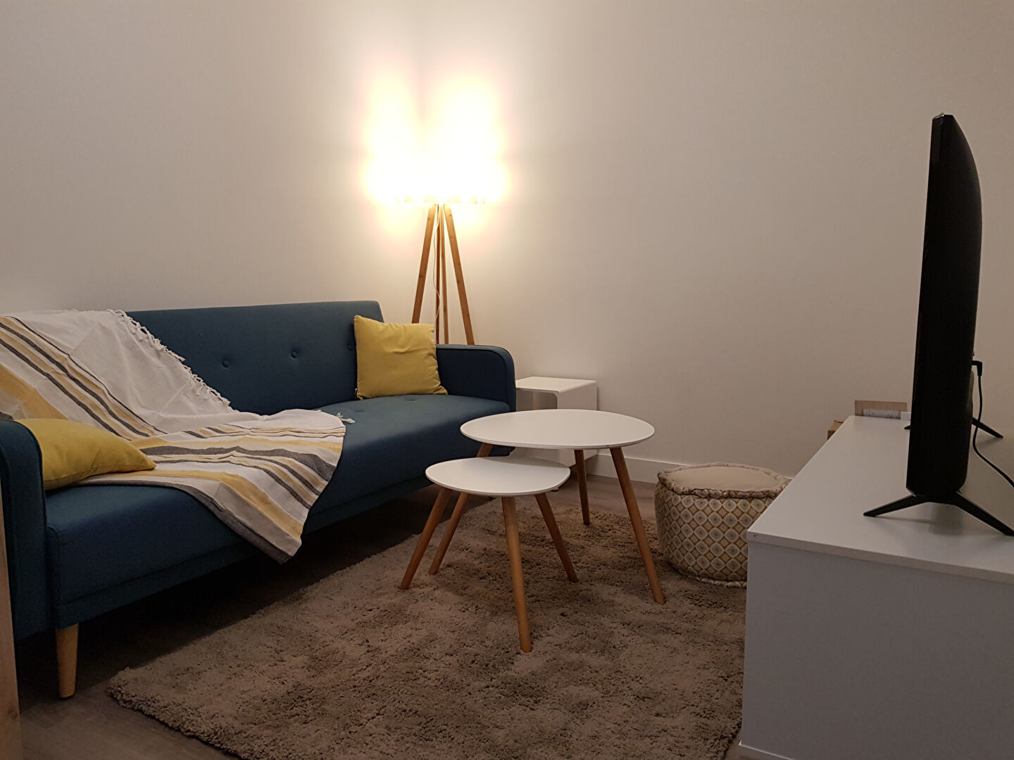 Photo COLOCATION LYON 8 image 2/6