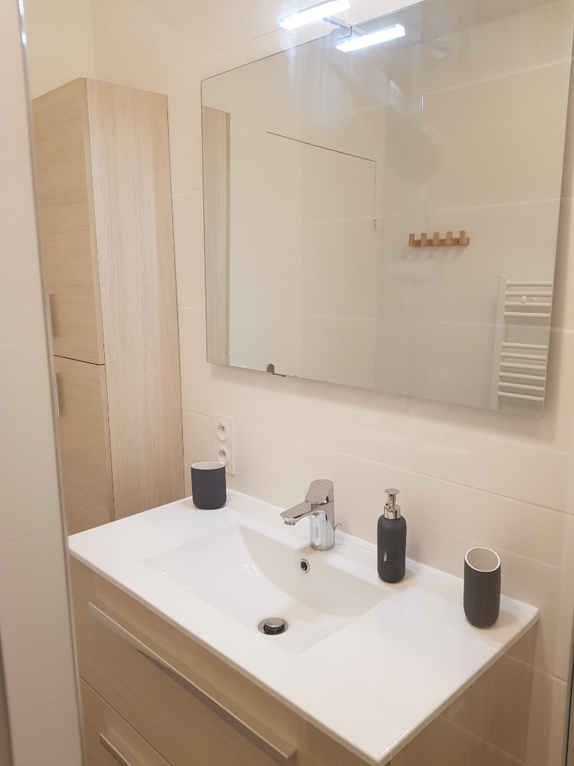 Photo COLOCATION LYON 8 image 5/6