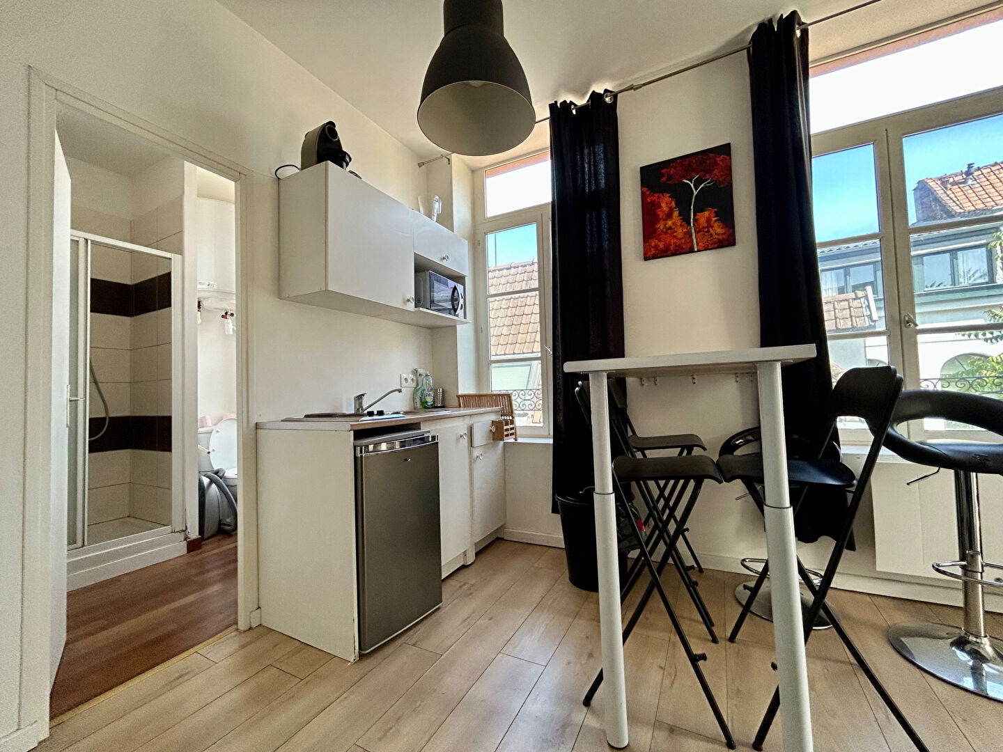 Photo T2 meublé dans Vieux Lille image 2/4