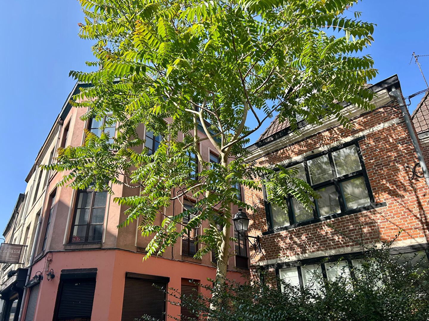 Photo T2 meublé dans Vieux Lille image 4/4