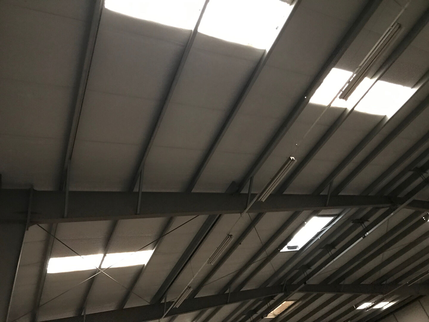 Photo Entrepôt / local industriel  de 2985.00 m² parcelle 13 500.00 m2 image 6/6