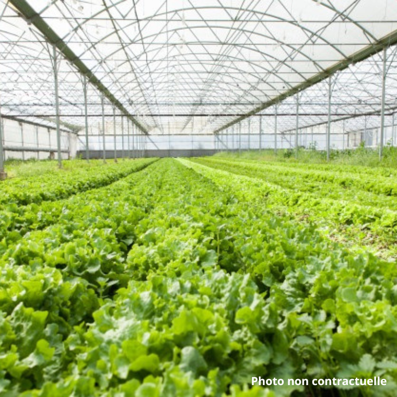 Local d'activité à vendre - 31000.0 m2 - 71 - Saone-et-Loire