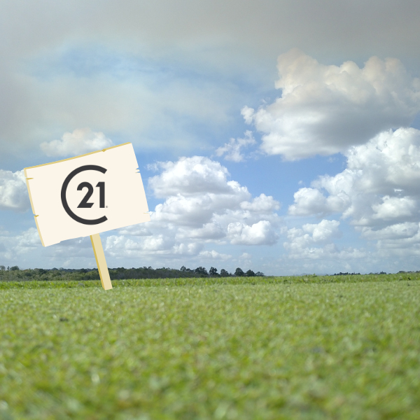 Divers à vendre - 959.0 m2 - 39 - Jura