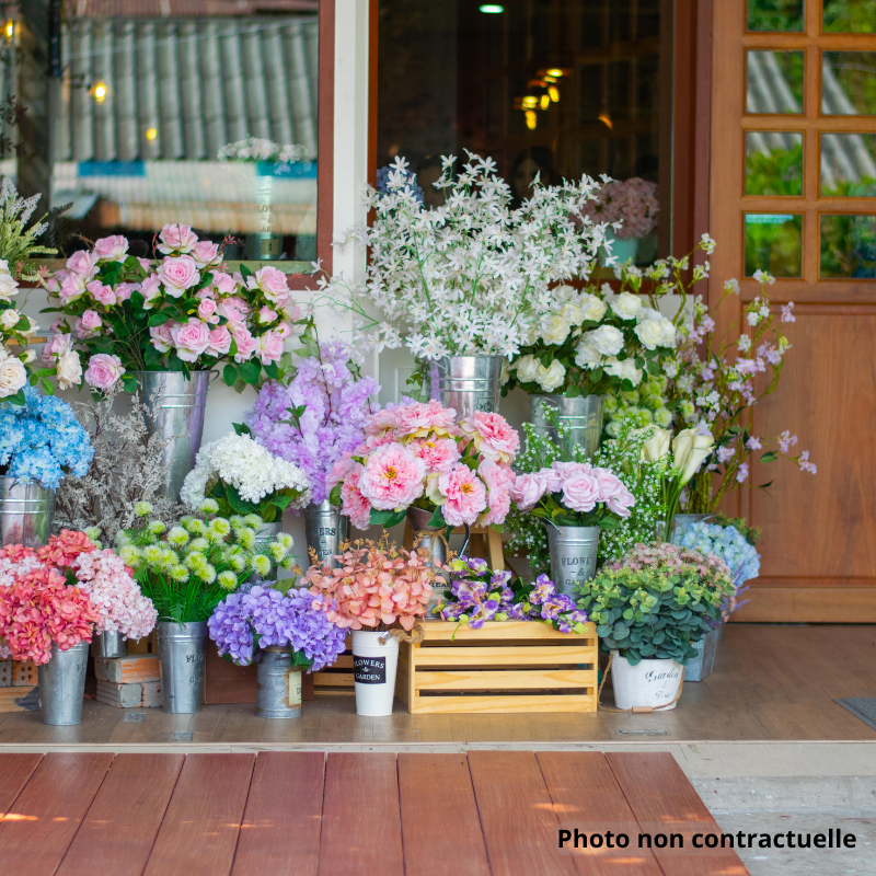 Fleurs à vendre - 200.0 m2 - 39 - Jura