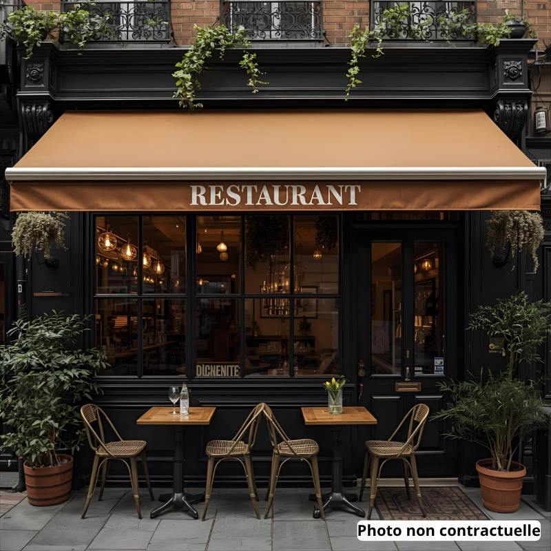 Restaurant à vendre - 1.0 m2 - 39 - Jura