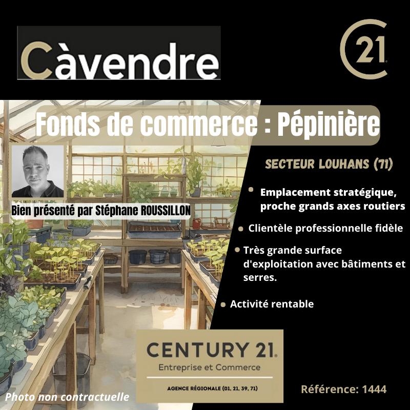 Commerce à vendre