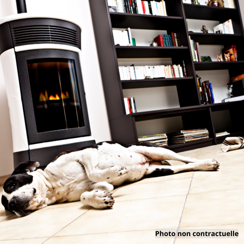 Divers à vendre - 490.0 m2 - 39 - Jura