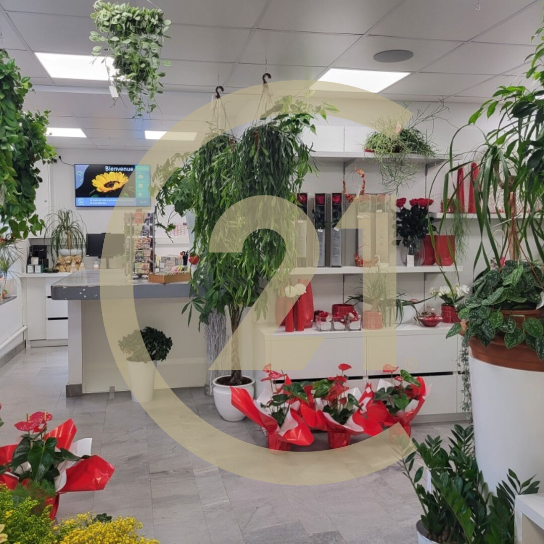 Divers à vendre - 95.0 m2 - 39 - Jura